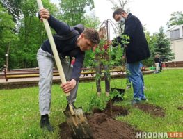 Гарадзенскія журналісты пасадзілі дрэвы ў парку Жылібера   