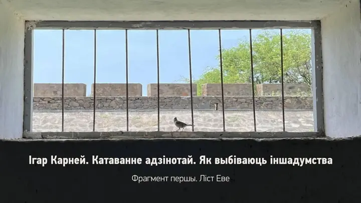 Ігар Карней. Катаванне адзінотай. Як выбіваюць іншадумства