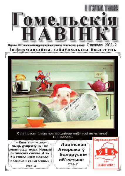 Гомельскія Навінкі Снежань 2011-2