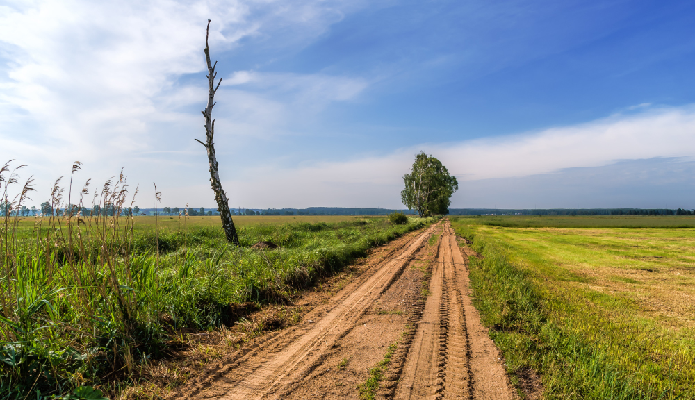 Пад знакам Пагоні 23.04.2021