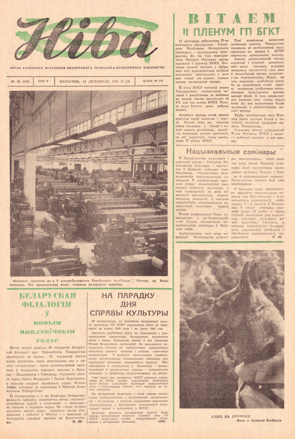 Ніва 46 (246) 1960
