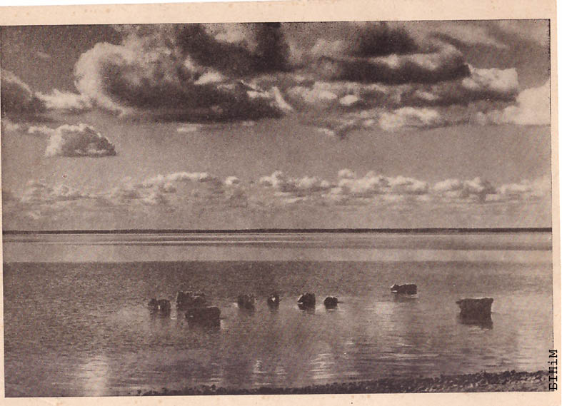 Паштоўка "Возера Нарач"