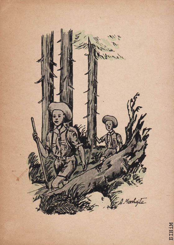 Паштоўка "У лесе"