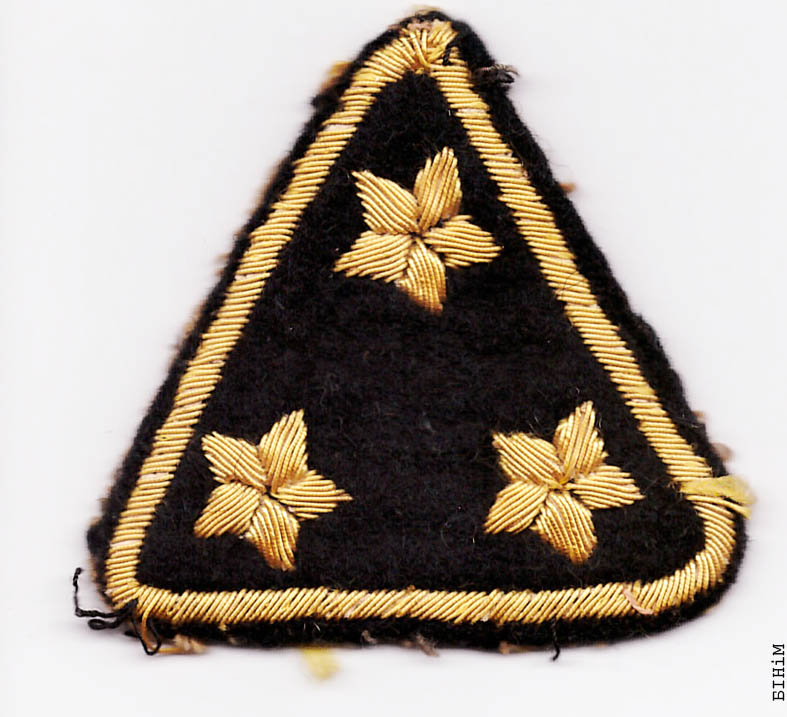 Скаўцкая нашыўка