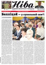 Ніва 2010/40 (2838)