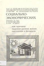 Нарушения социально-экономических прав как причина падения уровня жизни населения в Беларуси