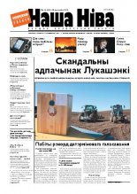 Наша Ніва 16/2010
