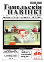 Гомельскія Навінкі Снежань 2011-2