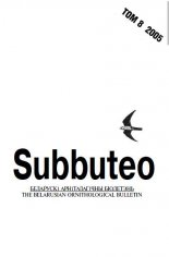 Subbuteo 8