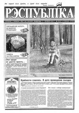 Рэспубліка 100 (387) 1993